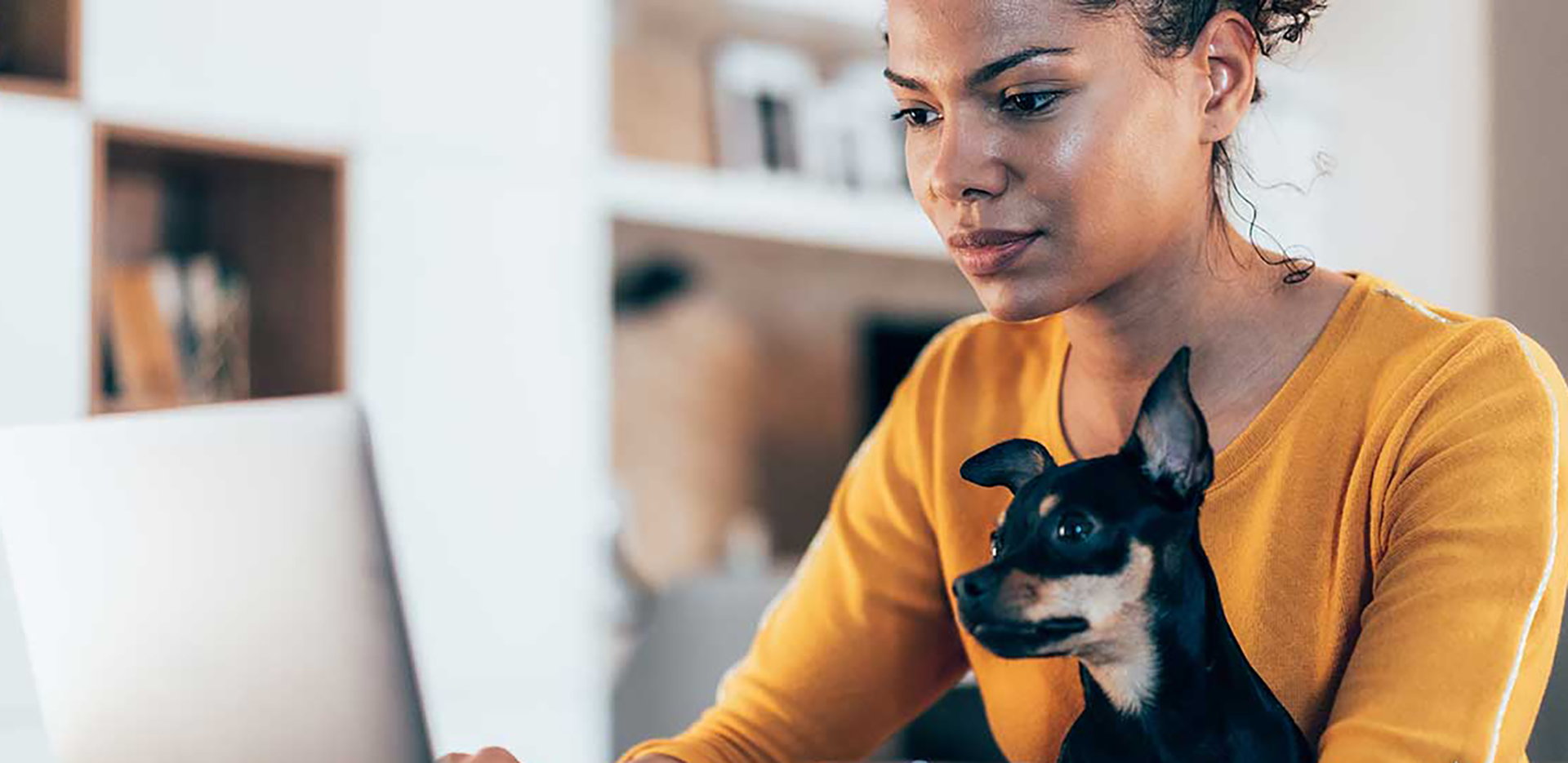 A woman and a chihuahua looking at a laptop.