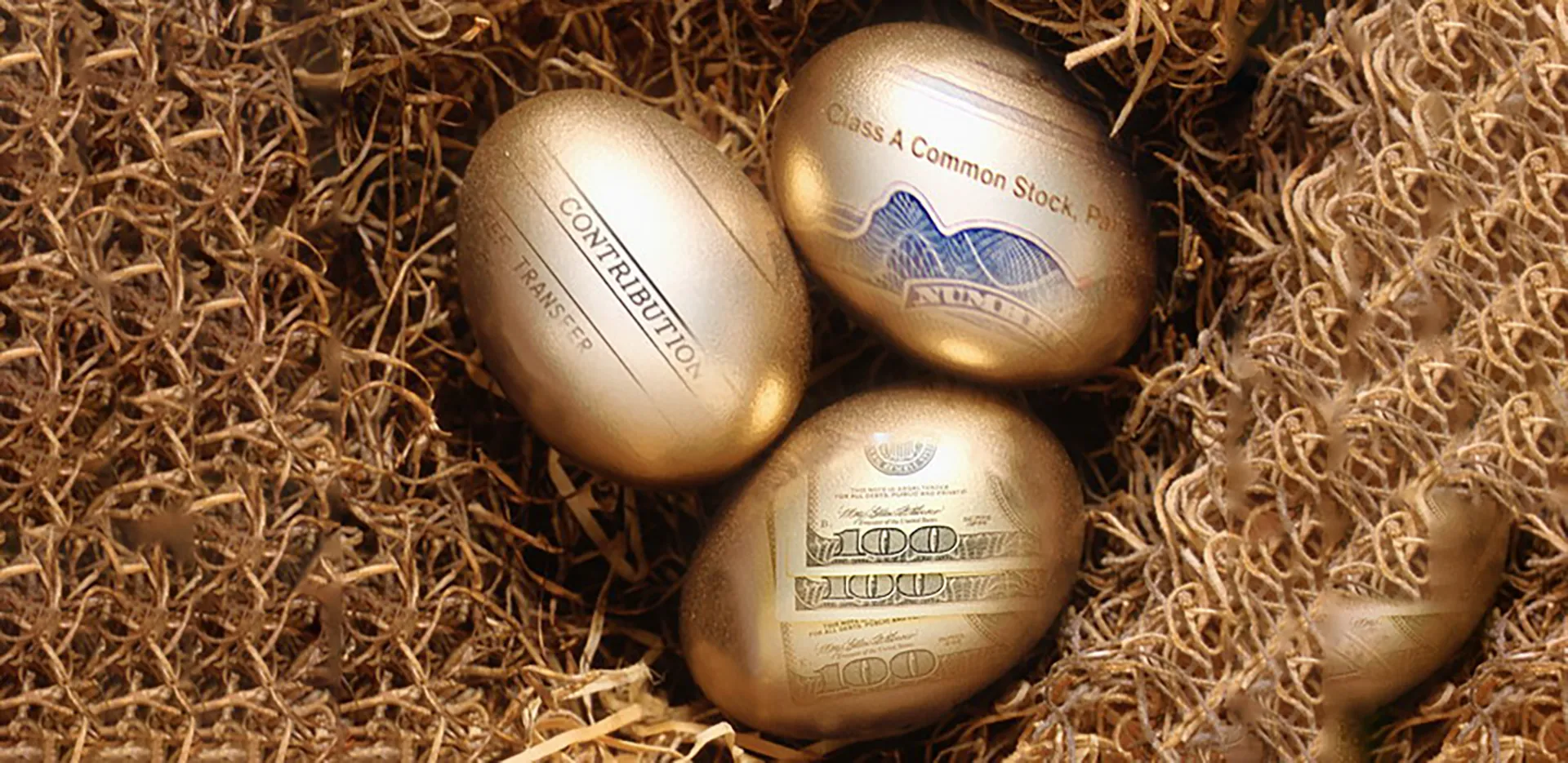 A graphic of golden eggs with the text 'Contribution,' 'Class A Common Stock,' and the corner of a 100 dollar bill.