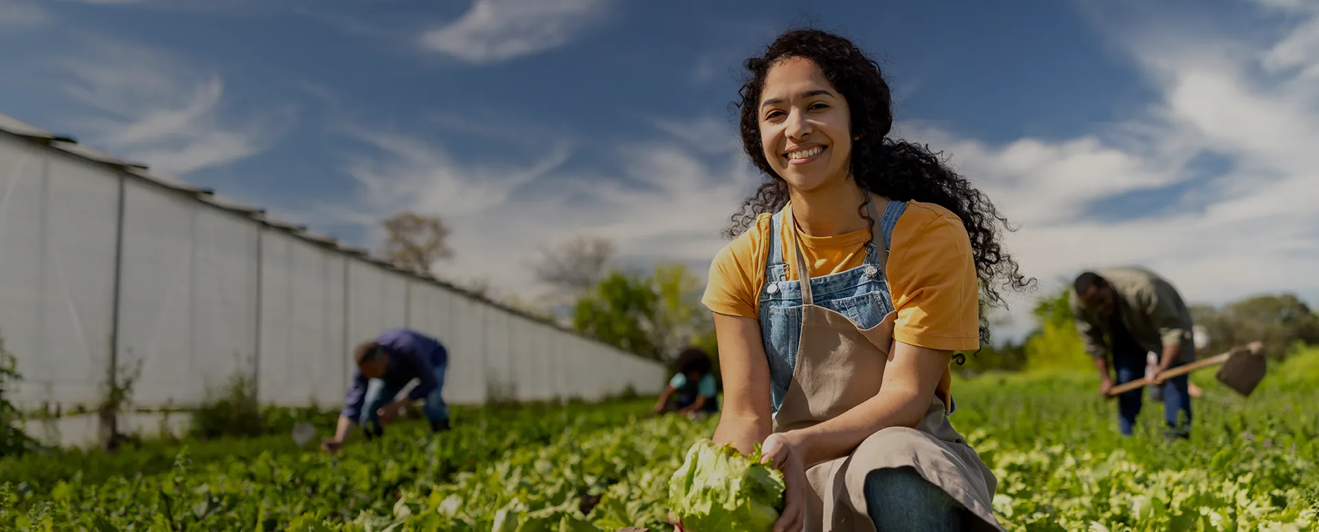 A smiling woman kneeling in a field and placing freshly picked lettuce in a box.