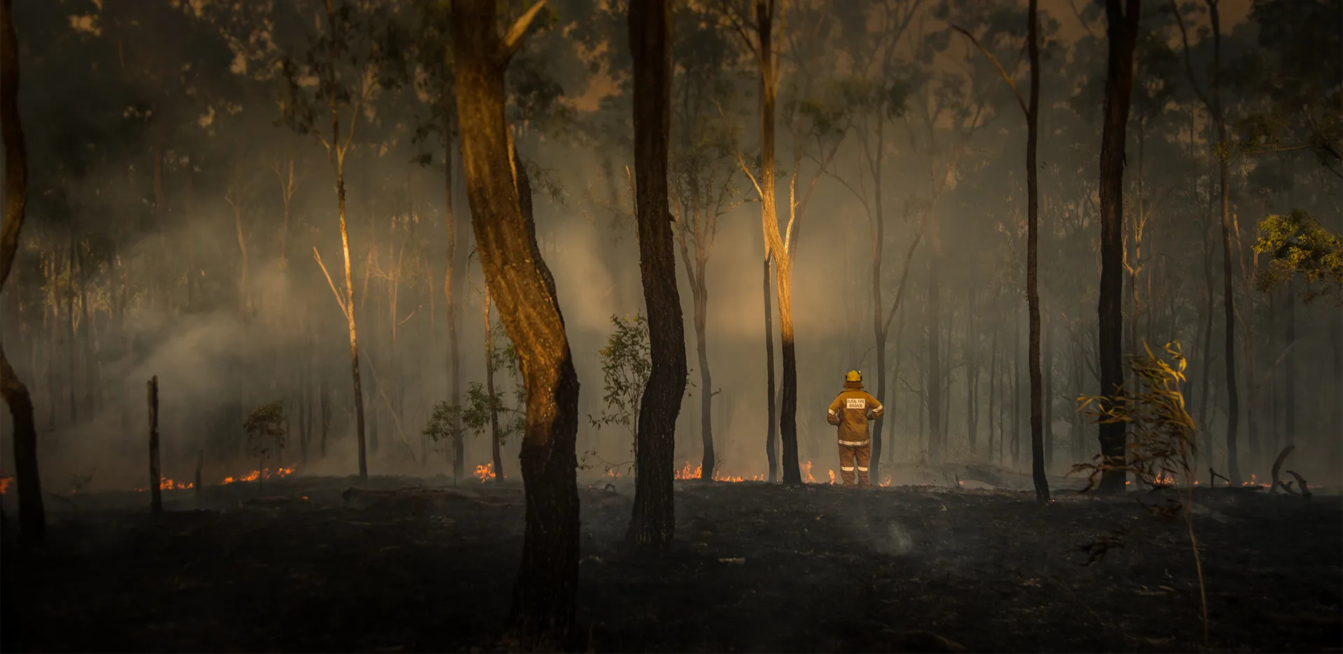 A firefighter standing at the site of a wildfire.