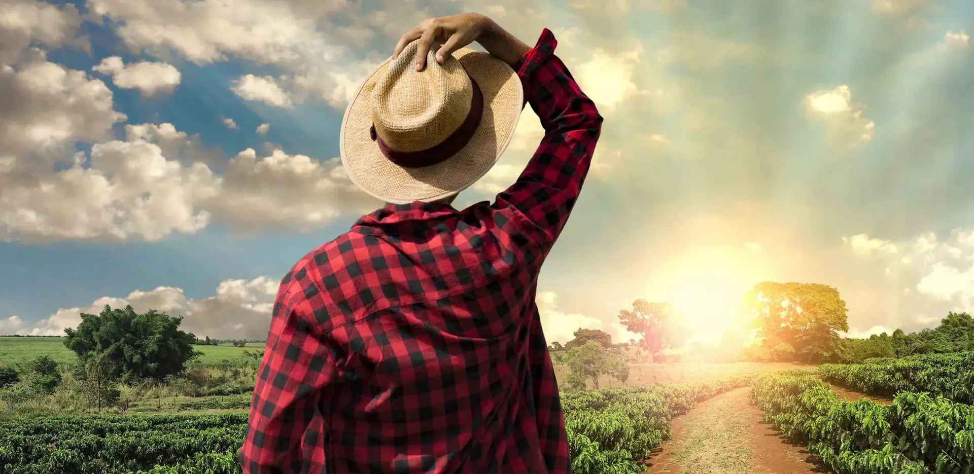 As we get closer to another scorching California summer, Cal/OSHA is reminding employers with outdoor workers to take precautions to protect them against the heat.