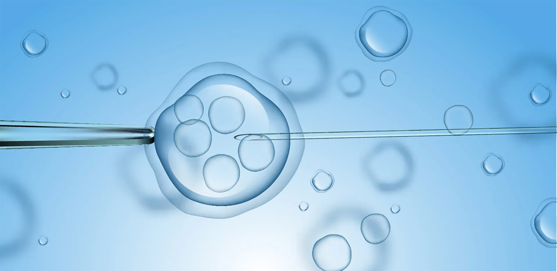 Cells under a microscope.