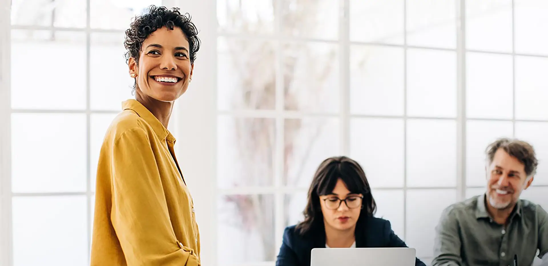 A group of professionals having a meeting.