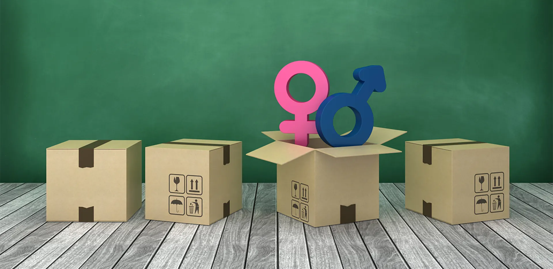 A series of four cardboard boxes. One is open and has gender symbols for male and female coming out of it.