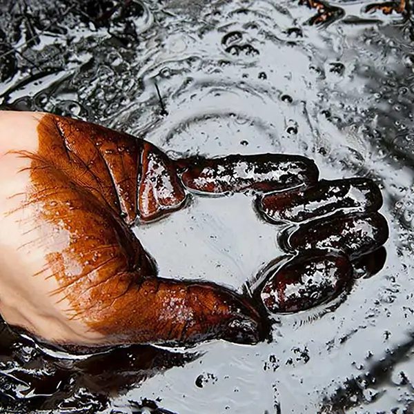 A hand scooping a handful of oil off the ground.