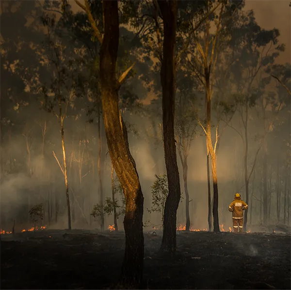 A firefighter standing at the site of a wildfire.