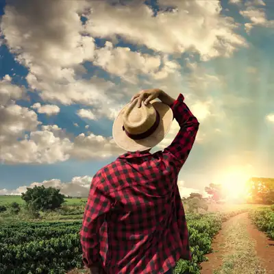 As we get closer to another scorching California summer, Cal/OSHA is reminding employers with outdoor workers to take precautions to protect them against the heat.