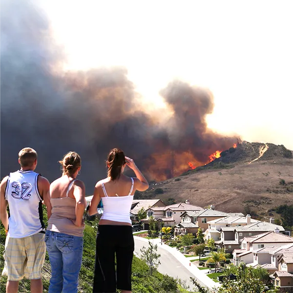 A group of people watching a wildfire in the hills behind a suburban neighborhood.
