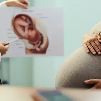 fertility