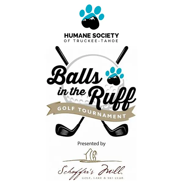 Logo reads 'Balls in the Ruff Golf Tournament.'