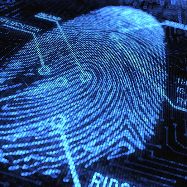 A digital fingerprint.