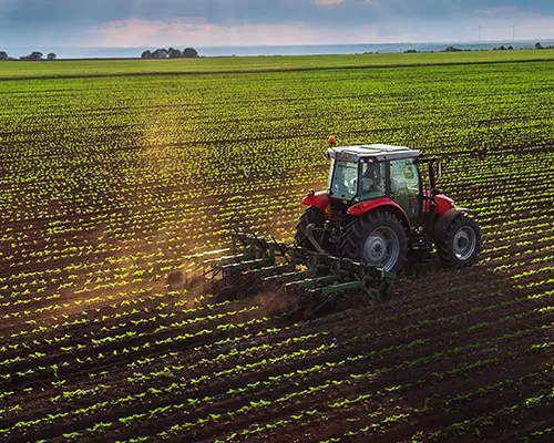 A tractor plowing across a field on young green sprouts.