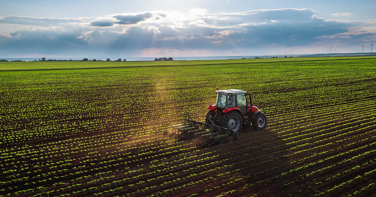 A tractor plowing across a field on young green sprouts.