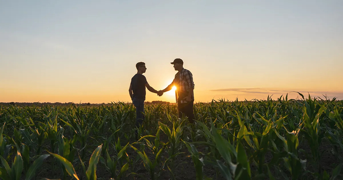 Two men shaking hands in a corn field at sunset.