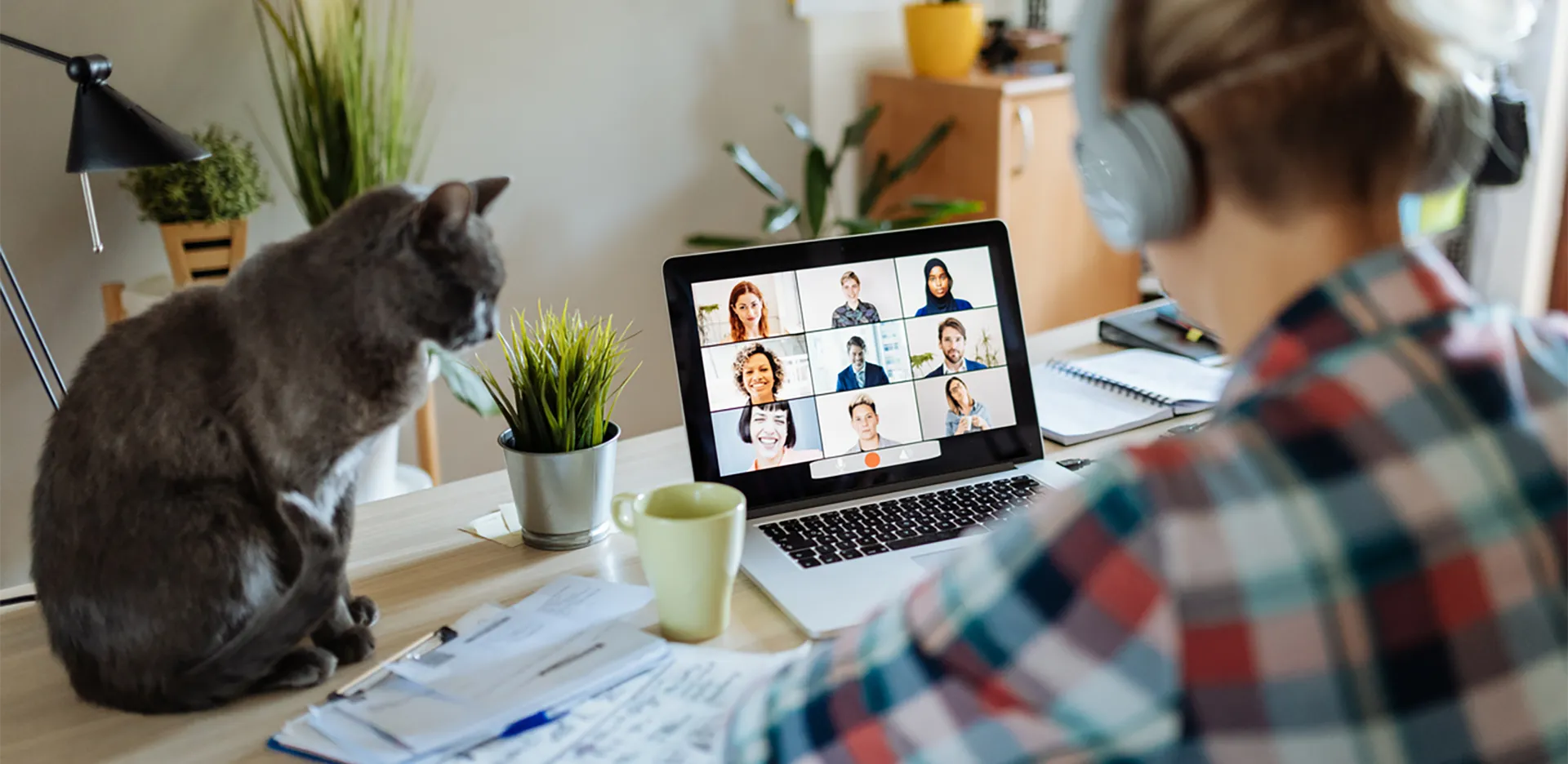 A person taking a video call at home with their cat sitting on their desk.