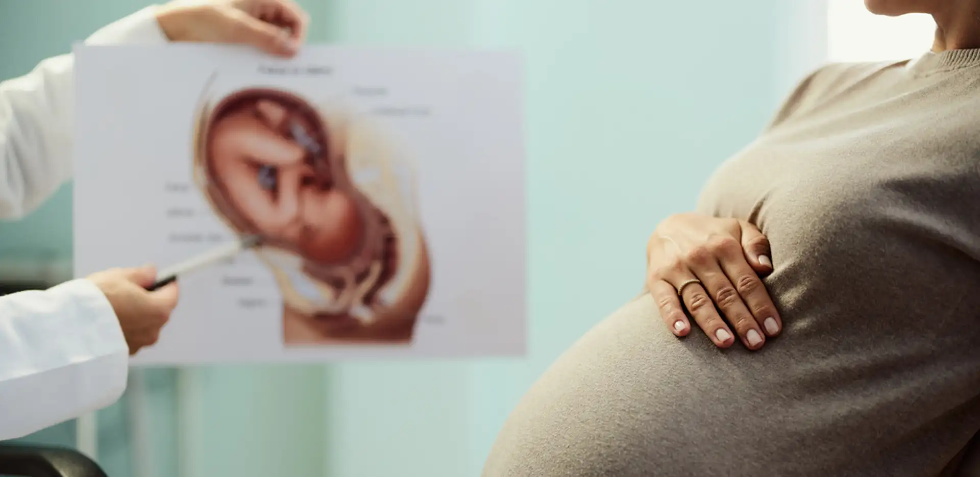 fertility