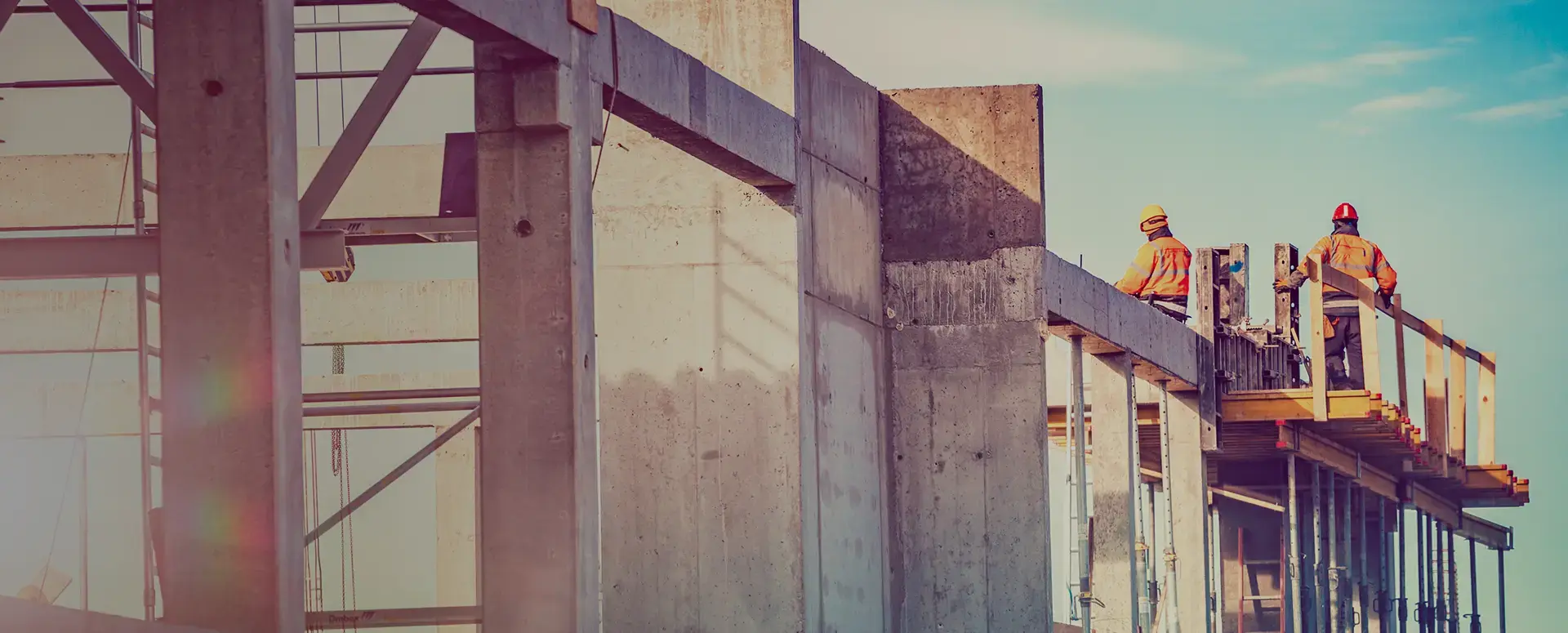 A top view of nuts being processed.