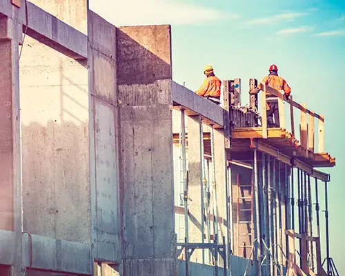 A top view of nuts being processed.