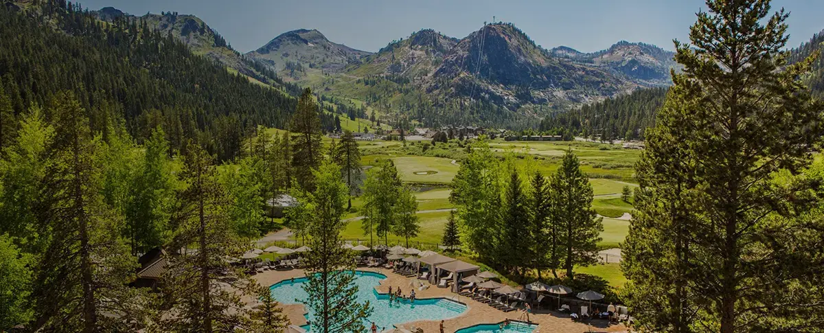 A group of students raising their hands in a classroom.