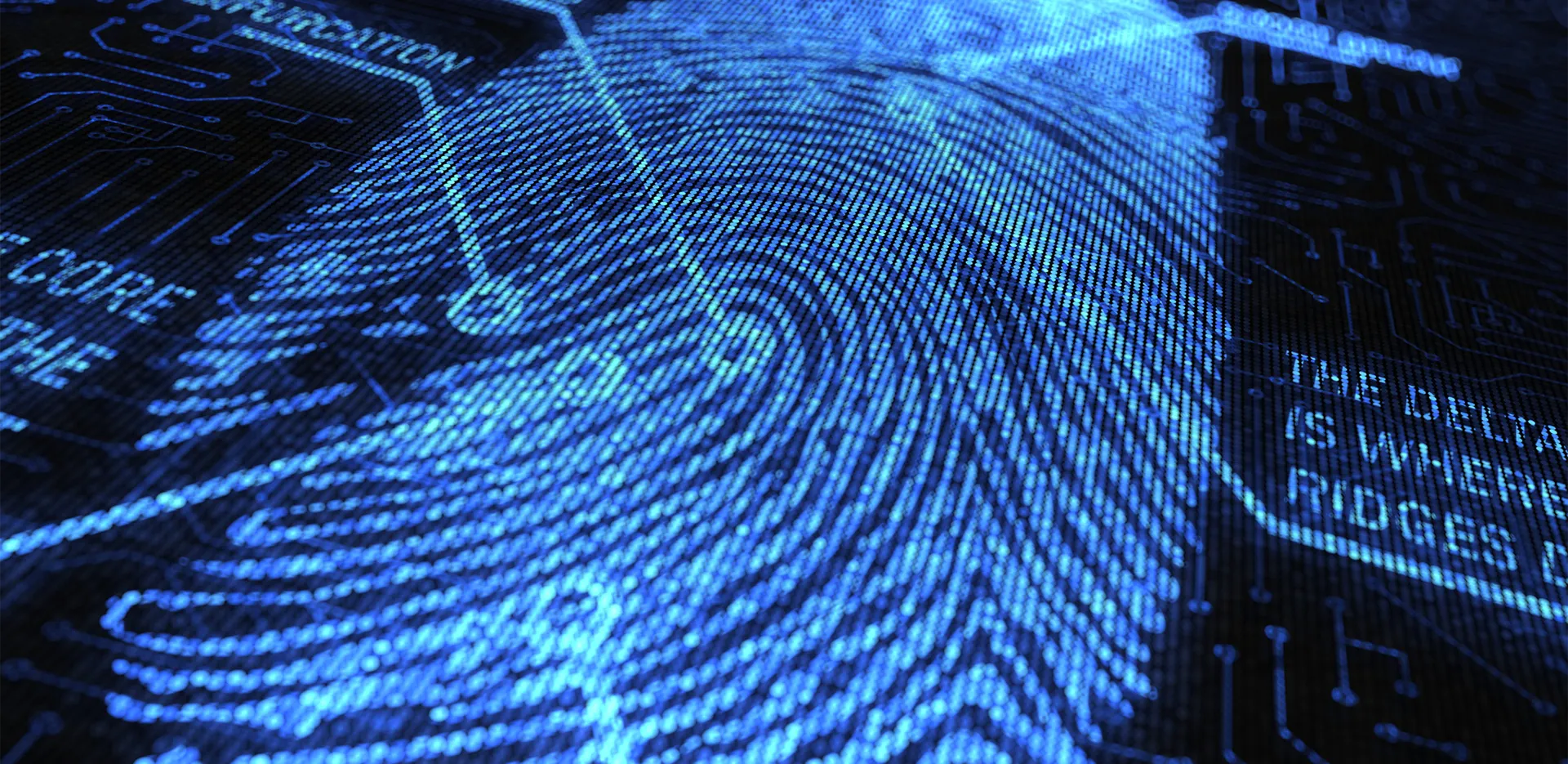 A digital fingerprint.
