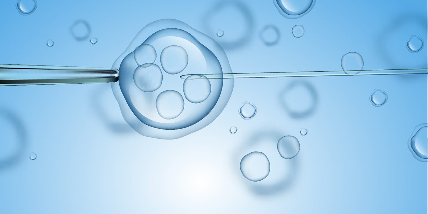 IVF